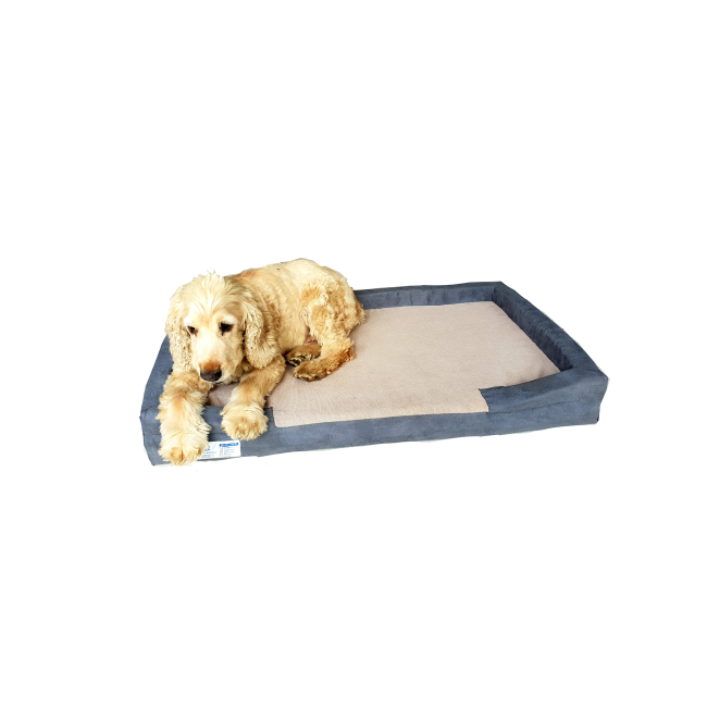 Dog-O-Pedic Orthopaedic Throne Dog Bed lifestyle with cocker spaniel