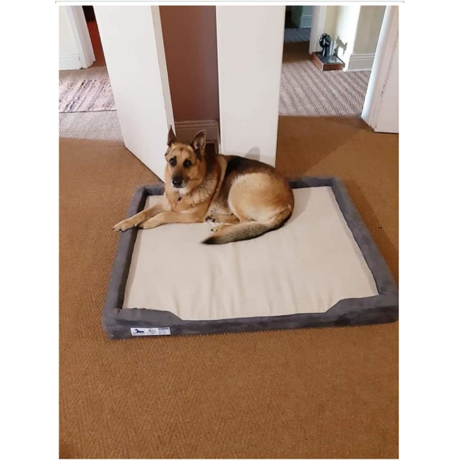 Dog-O-Pedic Orthopaedic Throne Dog Bed lifestyle with large Alsatian