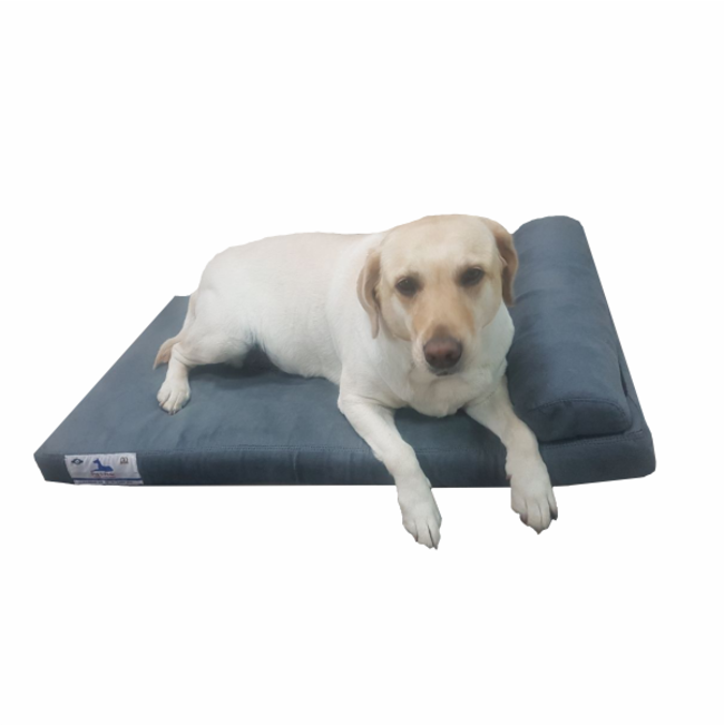 Pharoah Memory Foam Dog Bed lifestyle with white Lab