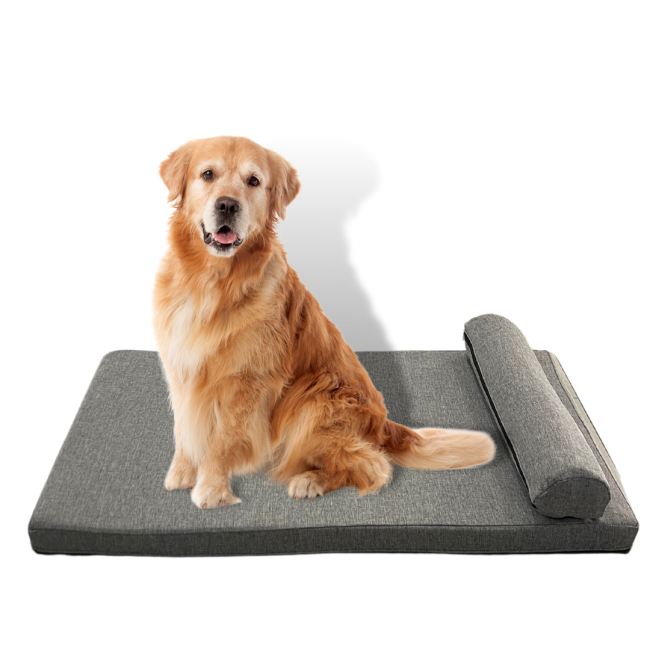 Pharoah Memory Foam Dog Bed lifestyle with golden retriever