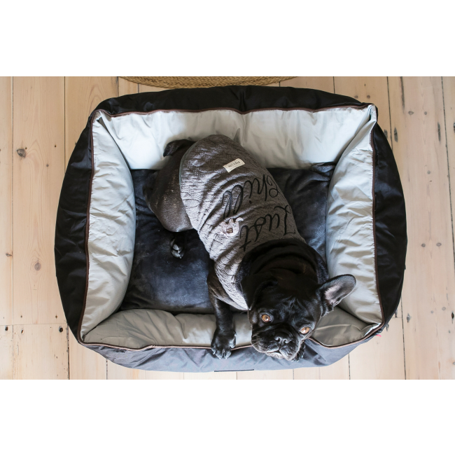 Dog's Life Premium Country Waterproof Bed - Black lifestyle top view with black Frenchie
