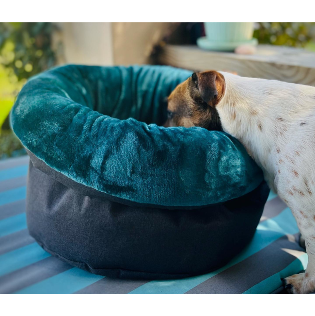 Wagworld Nap Sack turquoise with dog looking inside