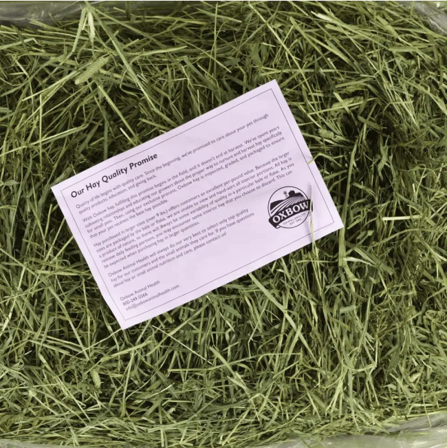 Western Timothy Feeding Hay for Small Pets quality promise with actual feeding hay
