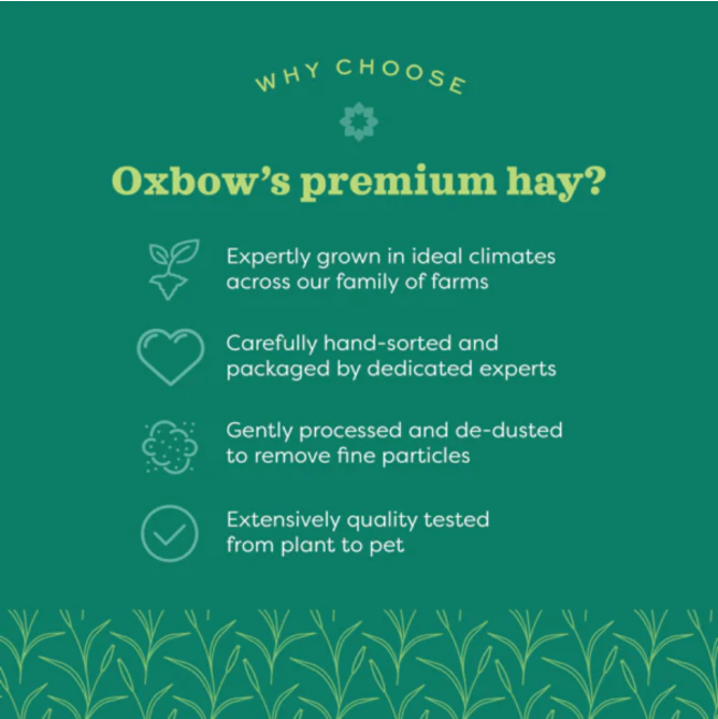 Western Timothy Feeding Hay for Small Pets Oxbow premium Hay