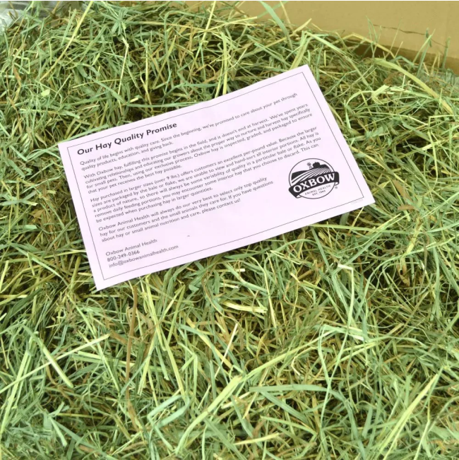 Orchard Grass Feeding Hay for Small Pets actual Hay in box