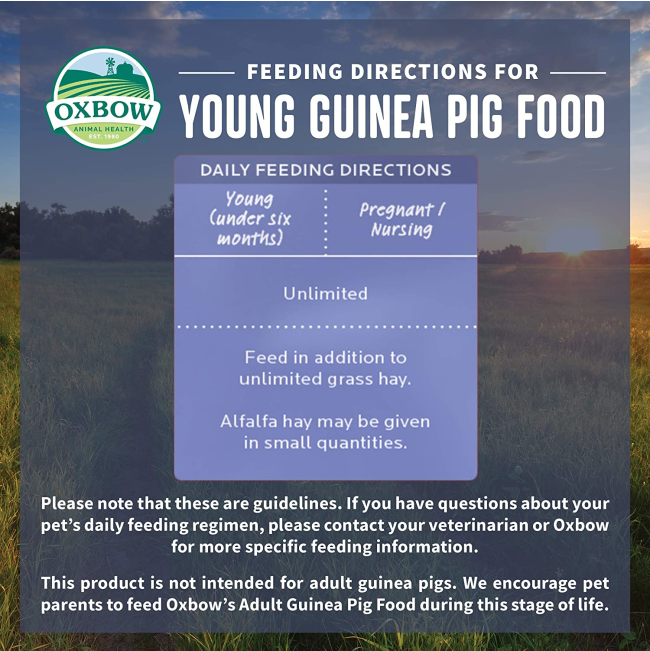 Essentials Young Guinea Pig Food feeding guideline