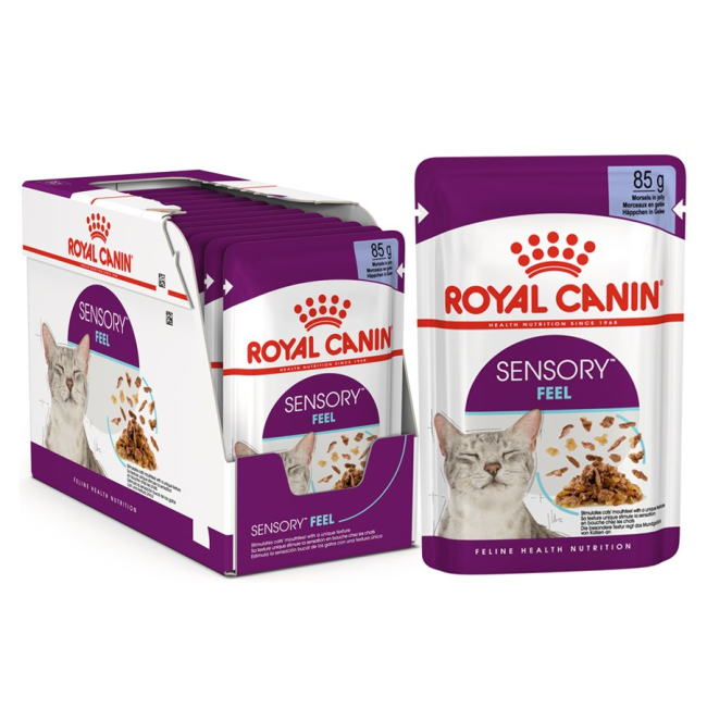 Royal Canin Sensory Feel Wet Cat Food - Gravy box of pouches and a single