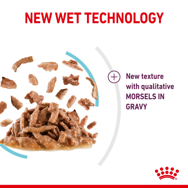 Royal Canin Sensory Feel Wet Cat Food - Gravy new technology texture