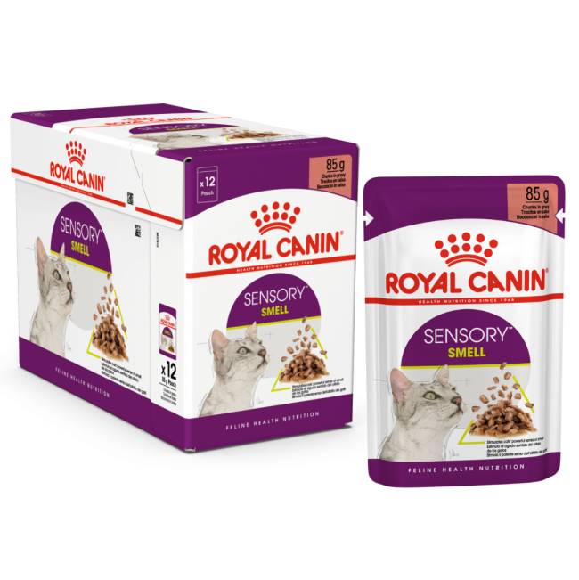 Royal Canin Sensory Smell Wet Cat Food - Gravy box and single pouch