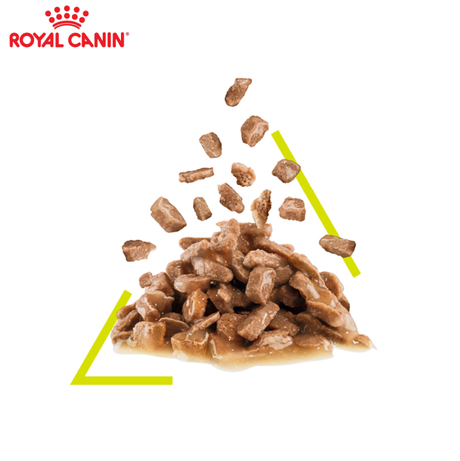 Royal Canin Sensory Smell Wet Cat Food - Gravy chunks in gravy