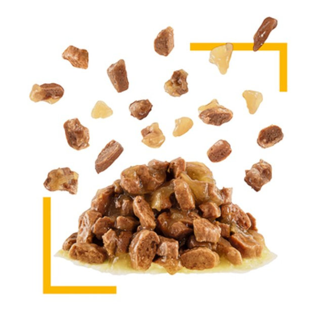 Royal Canin Sensory Taste Wet Cat Food - Gravy chunks in gravy