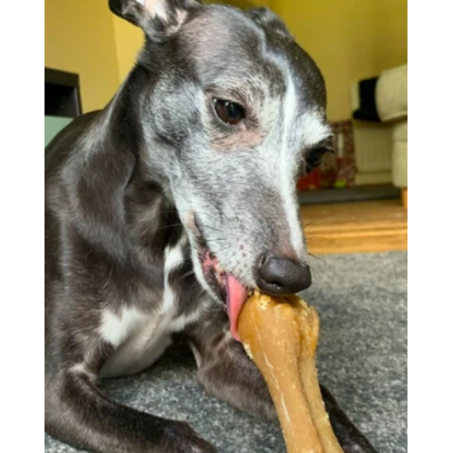 Whimzees Rice Bone Dental Dog Treats lifestyle with black dog