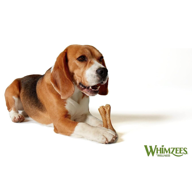 Whimzees Rice Bone Dental Dog Treats lifestyle two with beagle