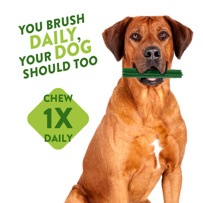 Whimzees Stix Dental Dog Treats - Daily Packs one chew a day