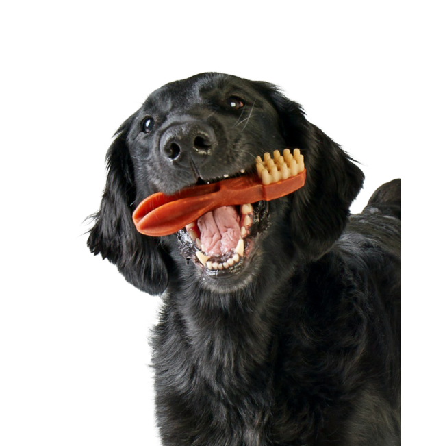 Whimzees Toothbrush Dental Dog Treats with black dog and reg brush
