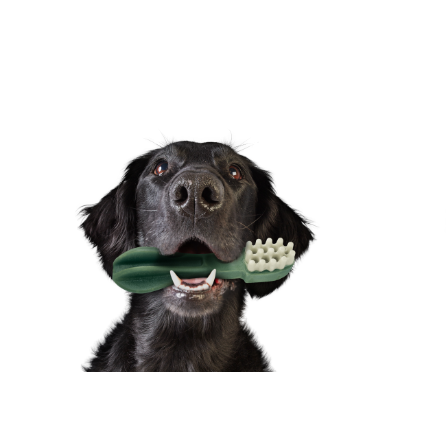 Whimzees Toothbrush Dental Dog Treats lifestyle with black dog and green brush