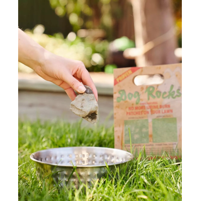 Dog Rocks - Stop Grass Urine Burns simpply place in dogs water