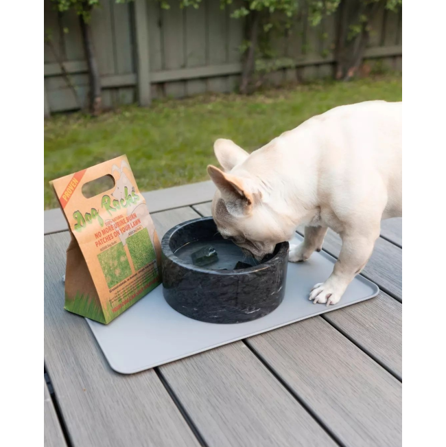 Dog Rocks - Stop Grass Urine Burns lifestyle with white Frenchie