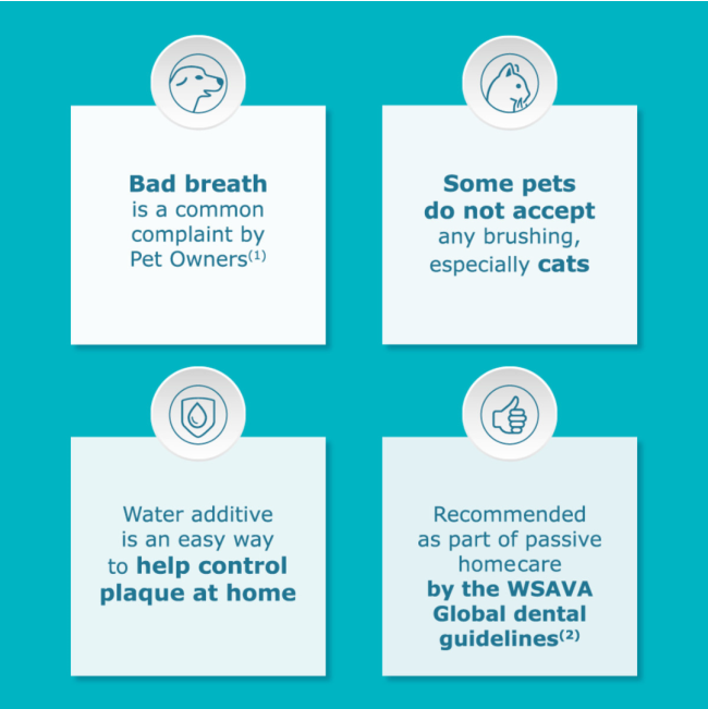 Aquadent Anti-Plaque Solution for Dogs and Cats information five