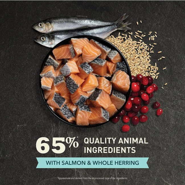 Acana Cat Bountiful Catch Adult Cat Food Slamon and Whole Herring Quality Ingredients