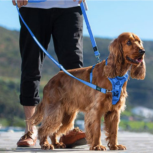 Rogz Control Dog Harness blue front and back connected