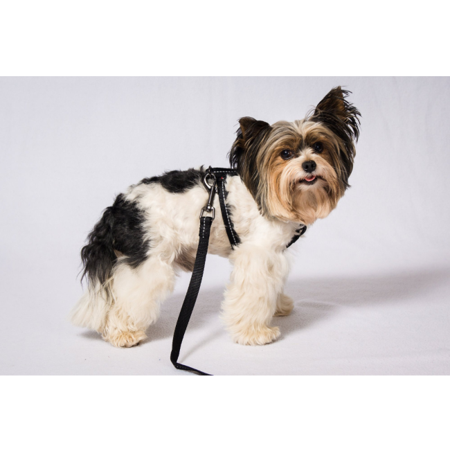 Reflective Supersoft Webbing Dog Lead black colour side view