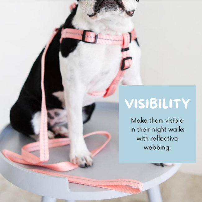 Reflective Supersoft Webbing Dog Lead visibility at night