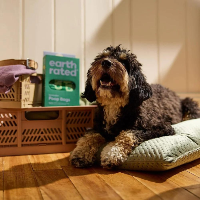 Earth Rated 120 Easy-Tie Degradable Bags lifestyle with dog
