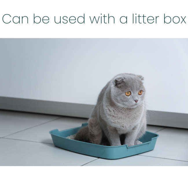 ProtectUs Cat Urine Odour Eliminator Lemon Fragranced 500ml can be used on a litter box