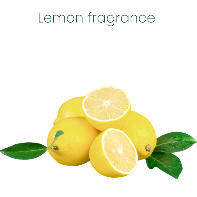 ProtectUs Cat Urine Odour Eliminator Lemon Fragranced