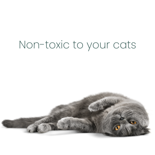 ProtectUs Cat Urine Odour Eliminator Lemon Fragranced 500ml non-toxic to your cats