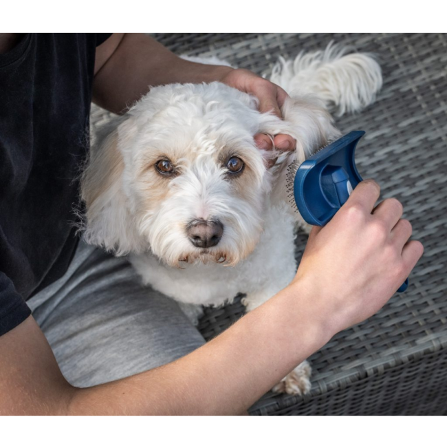 Mikki Doodles Grooming Kit lifestyle with slicker brush