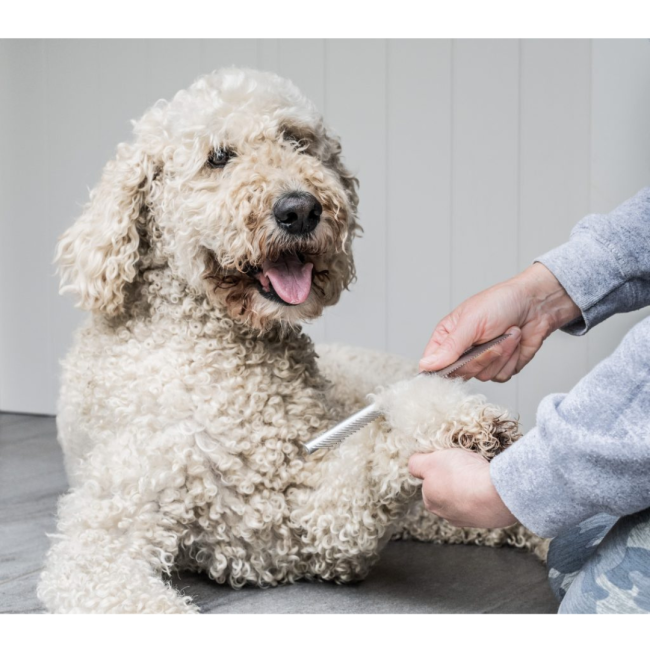 Mikki Doodles Grooming Kit lifestyle with comb being used of foot