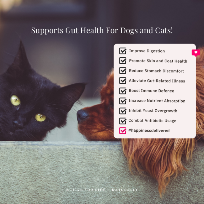 NutriFlex® FloraMax Natural Prebiotic & Probiotic for Dogs and Cats supports gut health