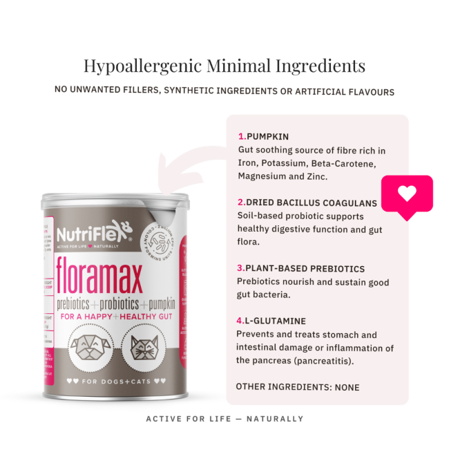 NutriFlex® FloraMax Natural Prebiotic & Probiotic for Dogs and Cats hypoallergenic ingredients