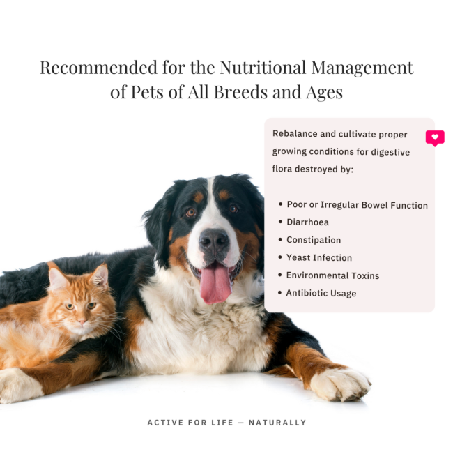 NutriFlex® FloraMax Natural Prebiotic & Probiotic for Dogs and Cats for all pet breeds