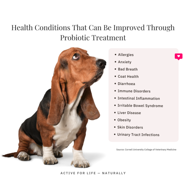 NutriFlex® FloraMax Natural Prebiotic & Probiotic for Dogs and Cats will improve your pets health