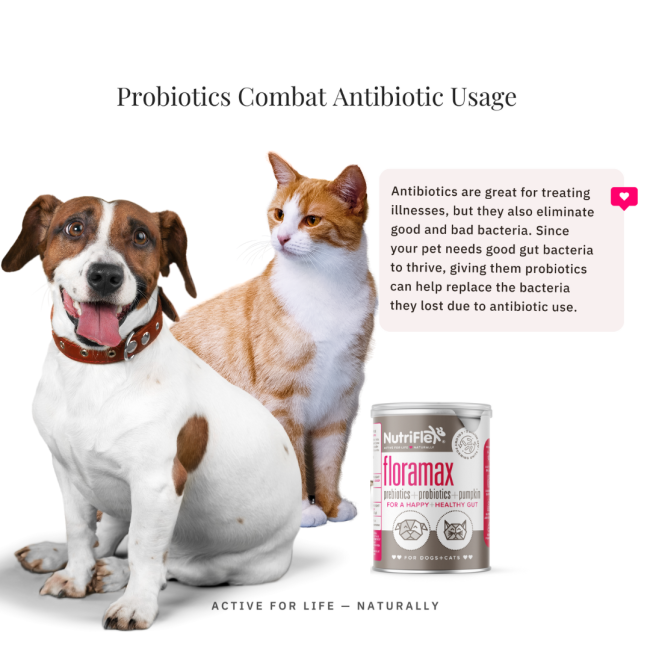 NutriFlex® FloraMax Natural Prebiotic & Probiotic for Dogs and Cats combats the use of antibiotics