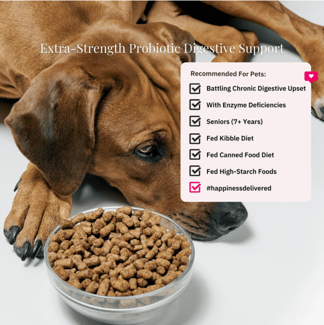 NutriFlex® DigestiMax Probiotic With Digestive Enzymes For Dogs and Cats for digestive support