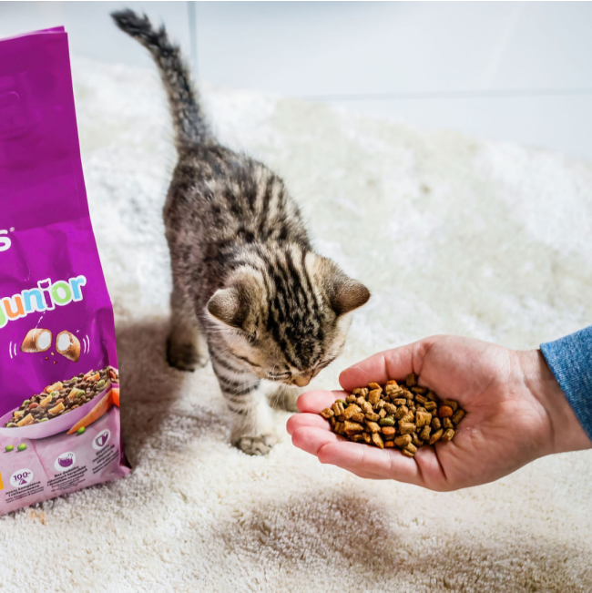 Whiskas Kitten Food - Beef & Milk lifestyle with kitten