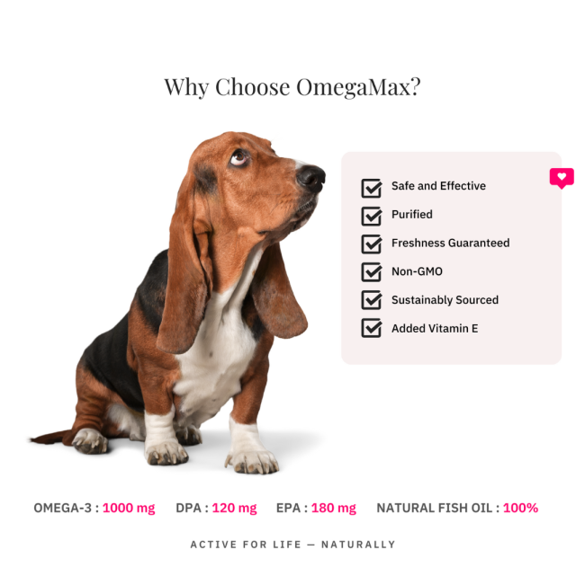 NutriFlex OmegaMax Fish Oil for Dogs and Cats why choose it