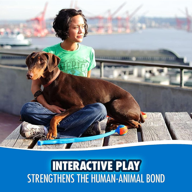 Chuckit! Classic Launcher - Medium Ball interactive play with your dog
