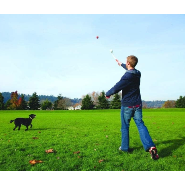 Chuckit! Classic Launcher - Medium Ball lifestyle throwing the ball with black dog