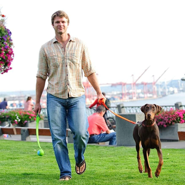 Chuckit! Classic Launcher - Medium Ball lifestyle with brown dog and green chuckit