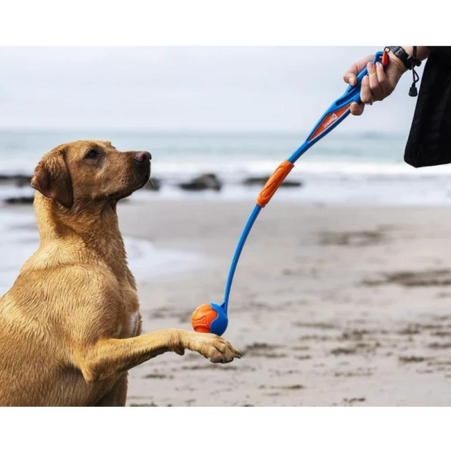 Chuckit! Fetch & Fold Ball Launcher lifestyle extended with golden dog
