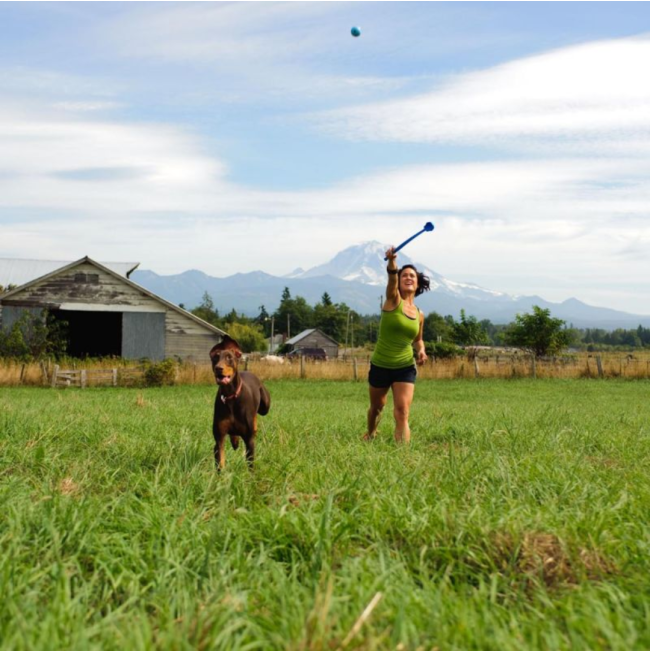 Chuckit! Sport Launcher - Small to Large Balls lifestyle with brown dog chasing ball