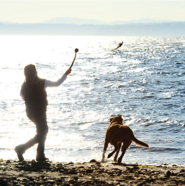 Chuckit! Sport Launcher - Small to Large Balls lifestyle on the beach
