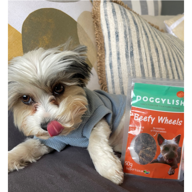 Doggylish Beefy Wheels Dog lifestyle with yorkie licking lips