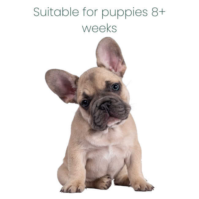 Marltons Two-In-One Moisturising Shampoo for Dogs 250ml safe for puppies of 8+ weeks