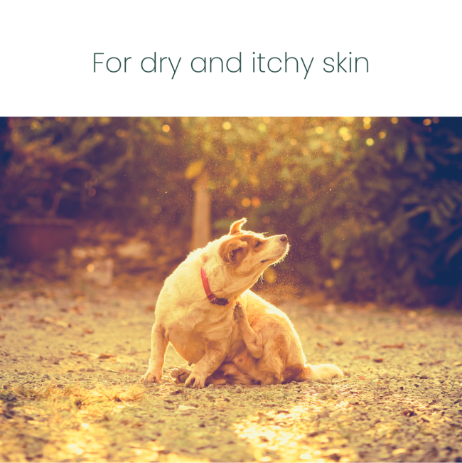 Marltons Two-In-One Moisturising Shampoo for Dogs 250ml for dry and itchy skin